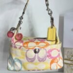 Y2K Vintage Coach Hampton scribble multi color hobo bag from 2008 🌈🤍